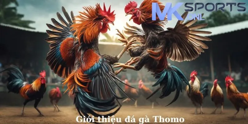 Đá Gà MKSPORT - Thiên Đường Cá Cược Đẳng Cấp Thị Trường Việt Nam 2 Tổng hợp danh sách các đối tác cung cấp game uy tín tại đá gà MKSPORT